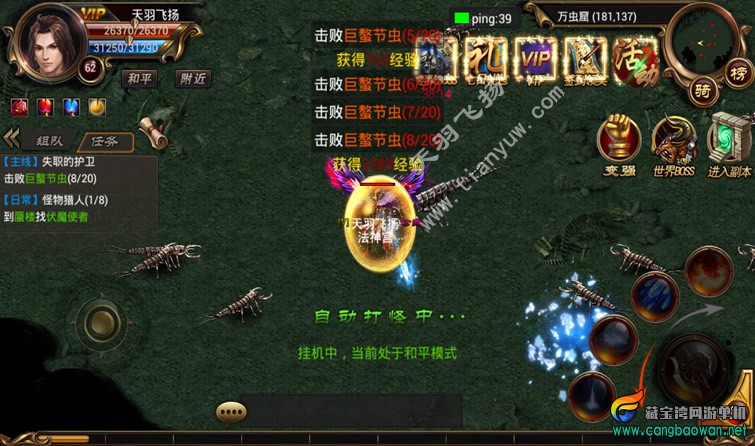 a2.jpg