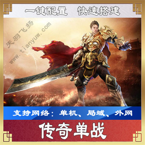 网游单机版游戏封面.jpg