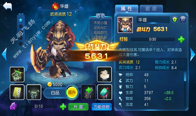 a6.jpg