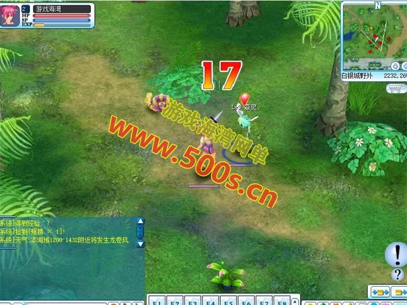 海盗王Online单机版 (5).jpg