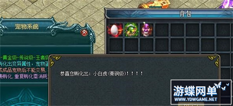 104613m7hj2hab8g5a8022.jpg