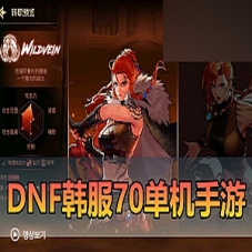 【DNF手游】韩服70级新职业DNF手游虚拟机一键端