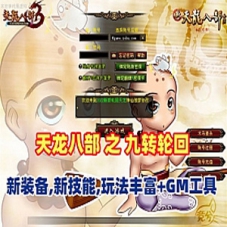 【天龙八部之九转轮回】网游单机版，新装备,新技能，GM