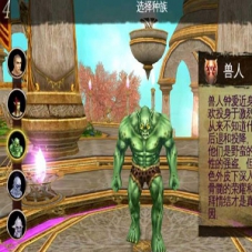 3D手游【混沌与秩序】VM一键端单机版，支持外网