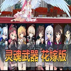 【灵魂武器】花嫁版单机72级GM后台虚拟机一键端二次元RPG