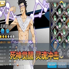 手游【死神觉醒之灵魂冲击单机版】虚拟机一键端横版格斗GM