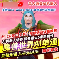 魔兽世界335单机版单人通关版，同账号下角色一起参战